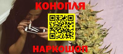 гашик Кинель
