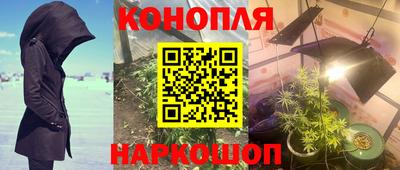 гашик Кинель