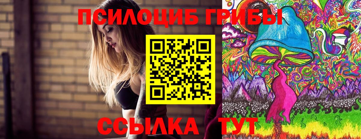 Галлюциногенные грибы Psilocybine cubensis  Вход с VPN  Киров 